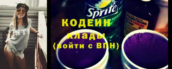 амф Елизово