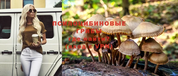 а пвп мука Елабуга