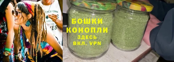 амф Елизово