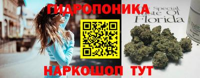 стаф Будённовск