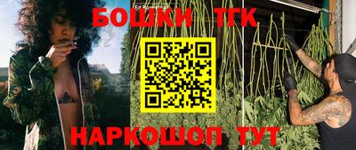 стаф Будённовск