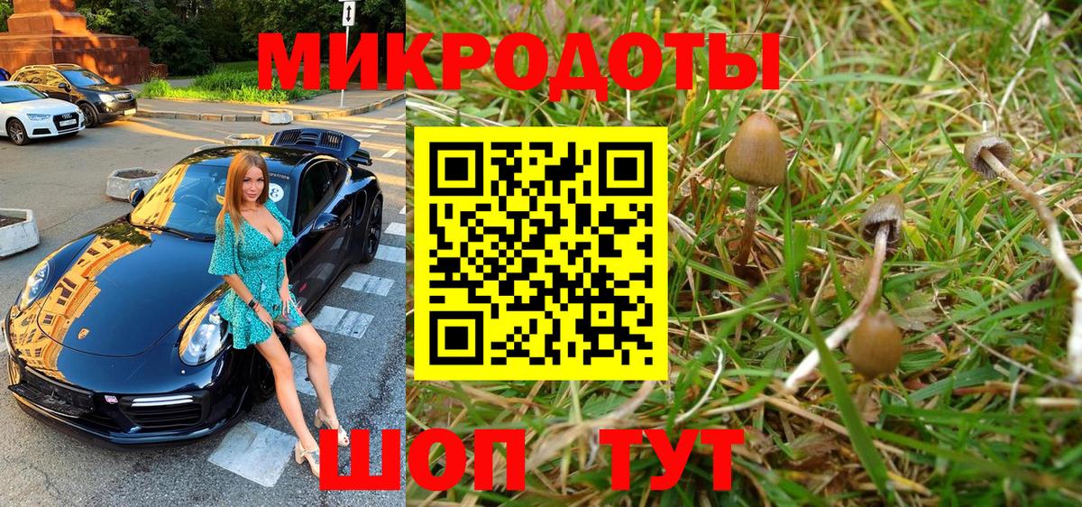 Галлюциногенные грибы прущие грибы  Вход с VPN  Калуга 